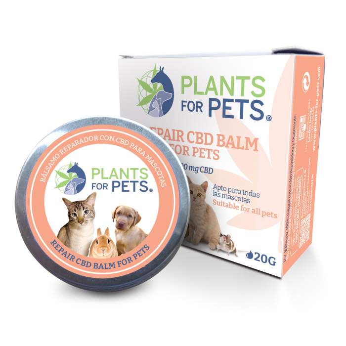 CBD REPAIR BALM FOR PETS 20G